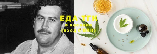 мдпв Инсар