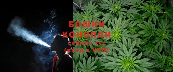 дмт Алзамай