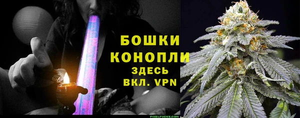 дурь Алексеевка