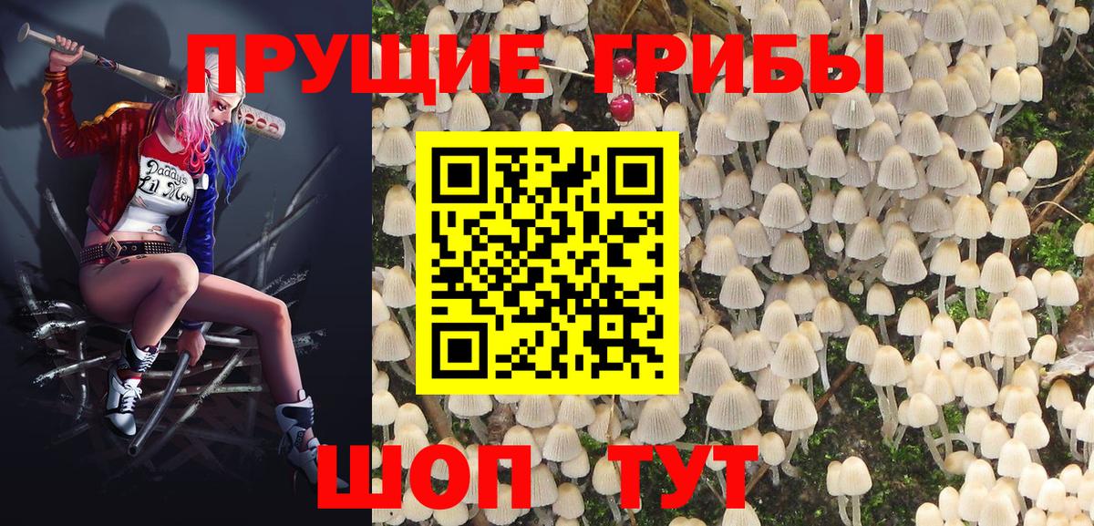 Учалы  Галлюциногенные грибы Psilocybe  Вход с VPN  Галлюциногенные грибы Magic Shrooms 